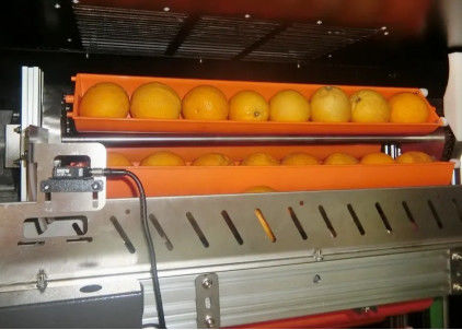 Frutta Juice Vending Machine 800W del mercato nero per le arance Apple