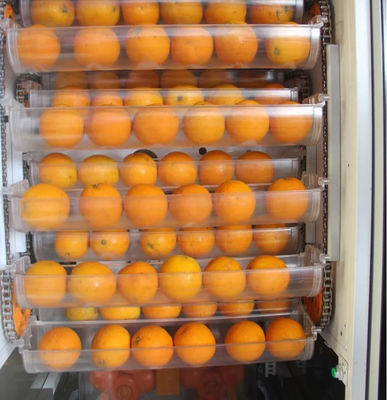 Frutta automatica Juice Vending Machine arancio fresco 1000W per il deposito del supermercato