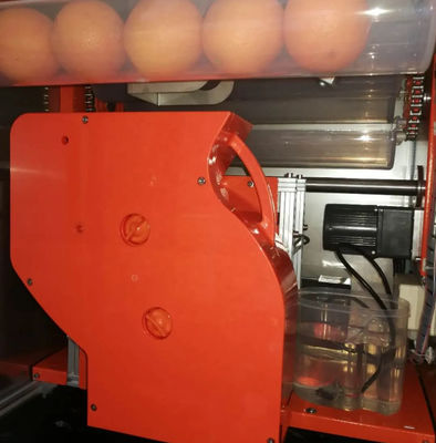 Juice Machine arancio vendente fresco automatico 800W WD-ORANGE