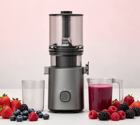 Fresh Smart HJ303 Basta premere Slow Masticating Juicer.