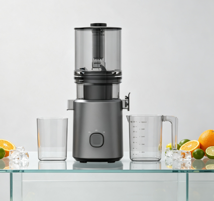 Fresco Smart HJ303 Insieme Slow Masticating Juicer