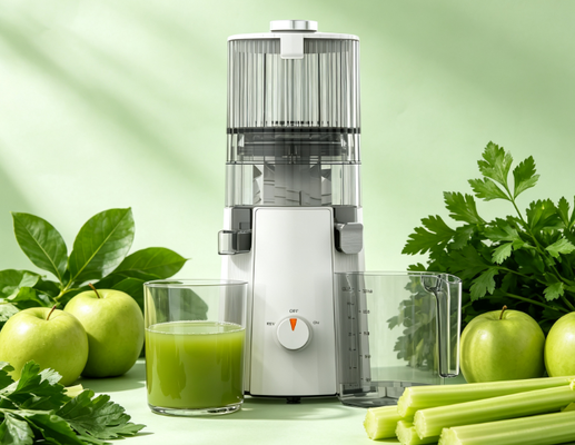 HJ102A Frullatore Lento Multifunzione – Compatibile con Succhi, Frullati, Gelati, Bassa Velocità 55 RPM, Senza BPA